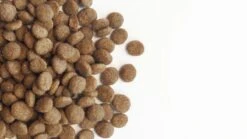 Carocroc Original 23/12 Hondenvoer - 3 Kg 18 Carocroc Original 23/12 Hondenvoer - 3 Kg -Dieren Benodigdheden Winkel 1200x675