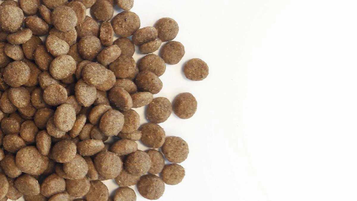 Carocroc Original 23/12 Hondenvoer - 3 Kg 7 Carocroc Original 23/12 Hondenvoer - 3 Kg - Afbeelding 5