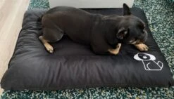 Hondenkussen XXXL -Donkergrijs - 85 X 120 X 14 -Dieren Benodigdheden Winkel 1200x685