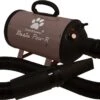 Tools-2-Groom Waterblazer Basic Paw-R 2200 Watt -Dieren Benodigdheden Winkel 1200x693 3