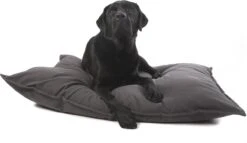 Lex & Max Tivoli - Hondenkussen - Rechthoek - 100x70cm - Grijs -Dieren Benodigdheden Winkel 1200x695 1