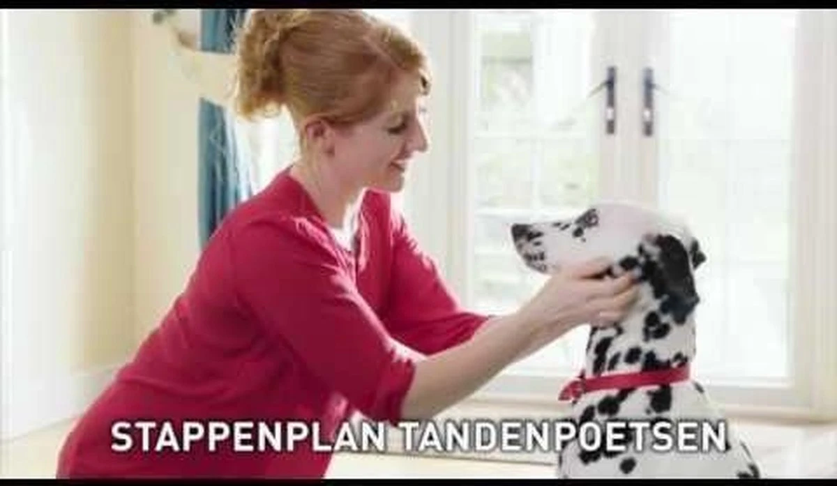 Beaphar Tandenborstel 7 Beaphar Tandenborstel - Afbeelding 5