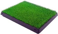 Merkloos Maoo Premium Hondentoilet - Geurbestendig & Hondvriendelijk Kunstgras - Uitneembare Opvangbak - Indoor En Outdoor - 63 X 50 Cm -Dieren Benodigdheden Winkel 1200x698