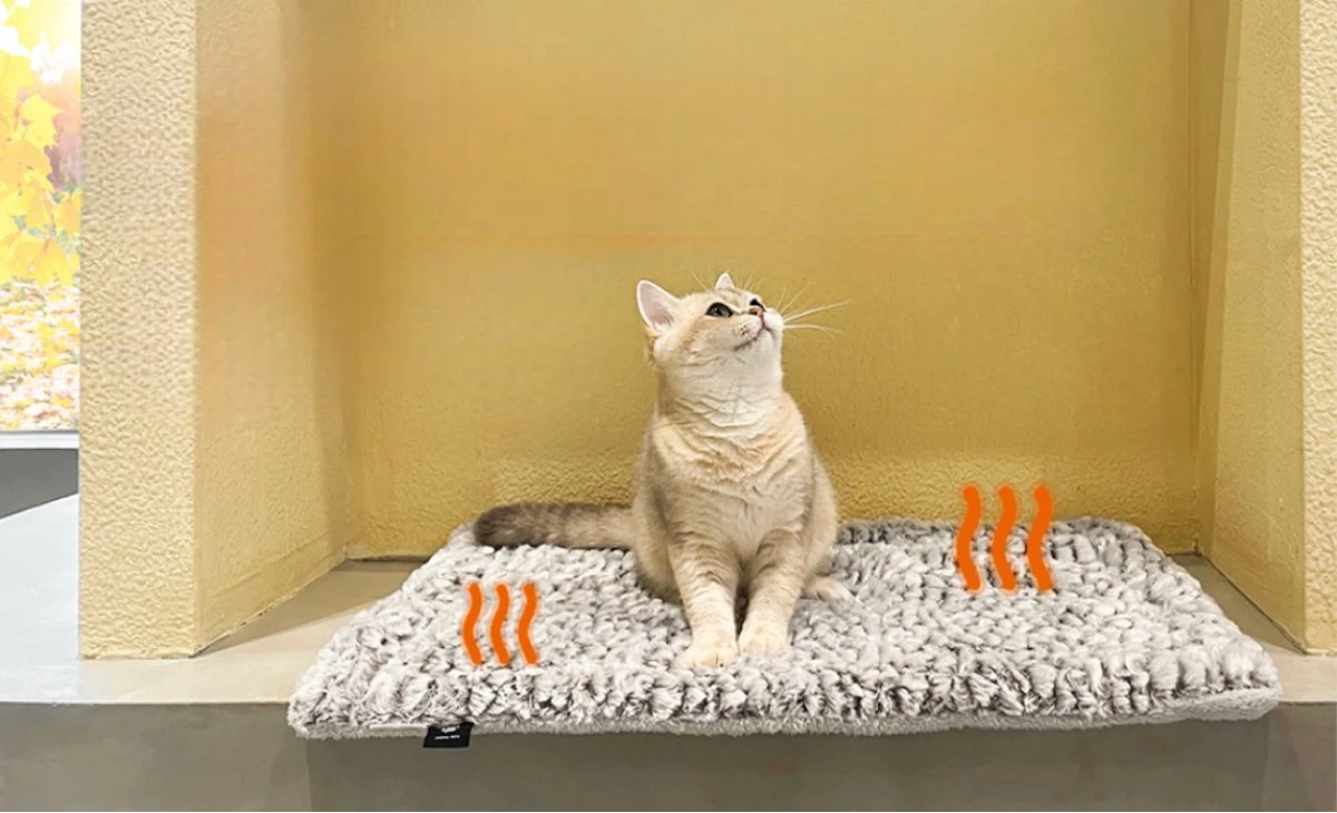 Merkloos Zelfverwarmende Dierendeken Zonder Stroom Thermo Deken Hond Kat Inclusief Adreslabel 70 X 47 Cm 10 Merkloos Zelfverwarmende Dierendeken Zonder Stroom Thermo Deken Hond Kat Inclusief Adreslabel 70 X 47 Cm - Afbeelding 8