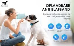 PetFriends Anti Blafband Zonder Schok - Gratis Hondenfluit - USB Oplaadbaar - Anti Blaf Apparaat - Opvoedingshalsband - Voor Grote En Kleine Honden -Dieren Benodigdheden Winkel 1200x742