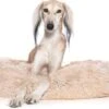 Snoozle Donut Hondenmand - Zacht En Luxe Hondenkussen - Wasbaar - Fluffy - Hondenmanden - 80cm - Creme Bruin