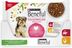 Beneful Pouch - Hondenvoer Kip & Rund In Saus - 40 X 100 G 7 Beneful Pouch - Hondenvoer Kip & Rund In Saus - 40 X 100 G -Dieren Benodigdheden Winkel 1200x796 1