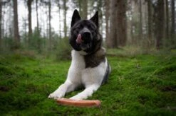 The Original Himalayan Yak Kauwbot Medium Puur Fit -Dieren Benodigdheden Winkel 1200x799 22