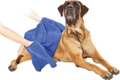 Dierenhanddoek Microvezel - Honden En Katten - Incl. Handvatten - 40x60 Cm - Blauw -Dieren Benodigdheden Winkel 1200x799 28