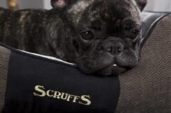 Hondenmand Zacht En Stevig, Anti-Slip En Wasbaar - Scruffs Chester Box Bed - In Grijs En Bruin In Maat S Tot XL - Kleur: Grijs, Maat: Large 40 Hondenmand Zacht En Stevig, Anti-Slip En Wasbaar - Scruffs Chester Box Bed - In Grijs En Bruin In Maat S Tot XL - Kleur: Grijs, Maat: Large -Dieren Benodigdheden Winkel 1200x799 6