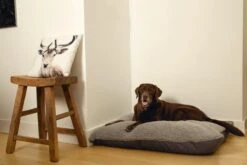 Beeztees Ruba - Orthopedisch Hondenkussen - Grijs - 100x70cm -Dieren Benodigdheden Winkel 1200x800 16