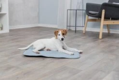 Trixie Junior Ligmat Fresh Lichtblauw - 60X50 CM 19 Trixie Junior Ligmat Fresh Lichtblauw - 60X50 CM -Dieren Benodigdheden Winkel 1200x800 20