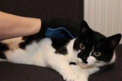 Merkloos Vachtverzorgingshandschoen -Dieren Benodigdheden Winkel 1200x800 29