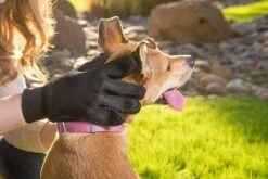 Merkloos Vachtverzorgingshandschoen -Dieren Benodigdheden Winkel 1200x800 30