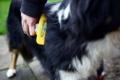 Furminator® Hond Langhaar - Vermindert Haaruitval Tot 90% - Hondenborstel - L -Dieren Benodigdheden Winkel 1200x800 31