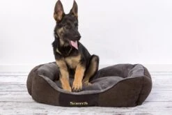Hondenmand Zacht En Stevig, Anti-Slip En Wasbaar - Scruffs Chester Box Bed - In Grijs En Bruin In Maat S Tot XL - Kleur: Grijs, Maat: Large 39 Hondenmand Zacht En Stevig, Anti-Slip En Wasbaar - Scruffs Chester Box Bed - In Grijs En Bruin In Maat S Tot XL - Kleur: Grijs, Maat: Large -Dieren Benodigdheden Winkel 1200x800 4