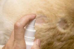 Petoxil Pet Spray Met Colloïdaal Zilver Is Speciaal Ontworpen Voor Gebruik Op Alle (huis) Dierensoorten. Revolutionair In Hygiëne -Dieren Benodigdheden Winkel 1200x800 44