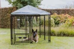 MaxxPet Hondenkennel - Hondenkennel Met Afneembaar Dak - Geschikt Voor Buiten En Binnen - 142 X 142 X 153 Cm -Dieren Benodigdheden Winkel 1200x800 57