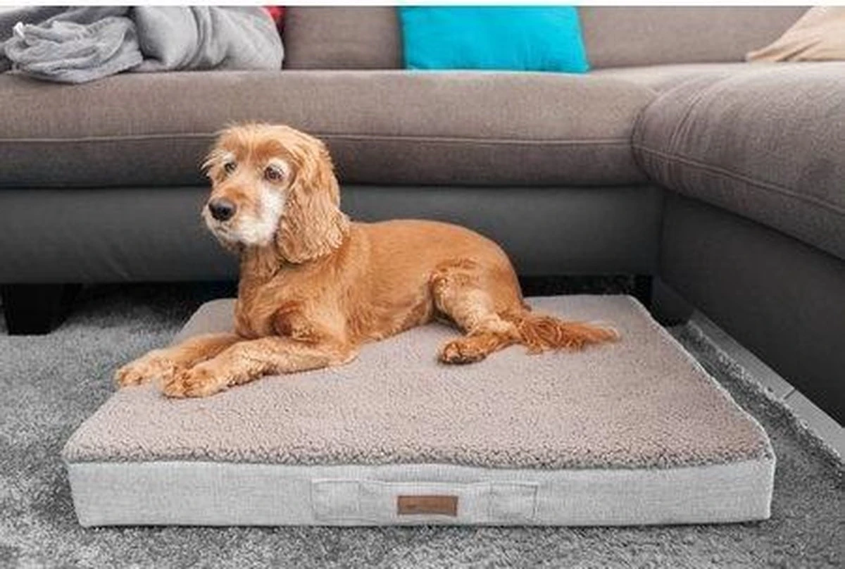 Petlando Orthopedisch Ligbed Merano Stone L - Hond 4 Petlando Orthopedisch Ligbed Merano Stone L - Hond - Afbeelding 2