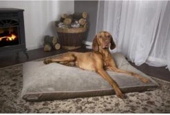 Scruffs Chateau - Hondenbed Orthopedisch Met Memory Foam Voor Extra Steun Voor Rug En Gewrichten - Grijs & Bruin Maat M/L - Kleur: Grijs, Maat: Medium -Dieren Benodigdheden Winkel 1200x811