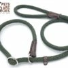 Sliplijn Met Stop - 1.2 Meter - Groen - Verstevigd - Roestvrij Staal - Verstelbaar - Hondenriem - Trainingslijn Voor Honden - Touw - Touwlijn - Lijn - Made In Portugal 1 Sliplijn Met Stop - 1.2 Meter - Groen - Verstevigd - Roestvrij Staal - Verstelbaar - Hondenriem - Trainingslijn Voor Honden - Touw - Touwlijn - Lijn - Made In Portugal -Dieren Benodigdheden Winkel 1200x814 2