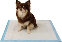 Easypets Puppy Training Pads - Zindelijkheidstraining - Hondentoilet - 58 X 58 Cm - 105 Stuks 10 Easypets Puppy Training Pads - Zindelijkheidstraining - Hondentoilet - 58 X 58 Cm - 105 Stuks -Dieren Benodigdheden Winkel 1200x814