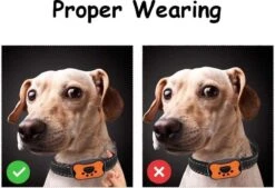 Merkloos Anti Blafband Voor Honden Blafband Anti Blaf Apparaat Blafband Zonder Schok - Diervriendelijk -Dieren Benodigdheden Winkel 1200x822 1