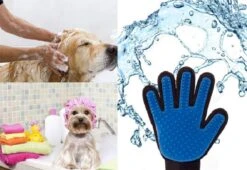 Vacht Verzorgingsborstel Voor Huisdieren - Blauw - LimitedDeals - Voor Honden Katten Konijnen Paarden - Tevens Massage Handschoen Voor Dieren! - Goed Voor De Verzorging Van De Vacht 13 Vacht Verzorgingsborstel Voor Huisdieren - Blauw - LimitedDeals - Voor Honden Katten Konijnen Paarden - Tevens Massage Handschoen Voor Dieren! - Goed Voor De Verzorging Van De Vacht -Dieren Benodigdheden Winkel 1200x825 1