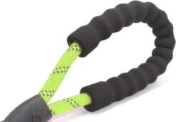 Comfortabele Hondenriem Met Gevoerd Handvat – Stevige Nylon Hondenlijn – Riem Voor Honden -Dieren Benodigdheden Winkel 1200x832 1