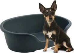 Flamingo - Hondenmand Domus - S - Zwart - 50/58 X 38 X 20 Cm -Dieren Benodigdheden Winkel 1200x861