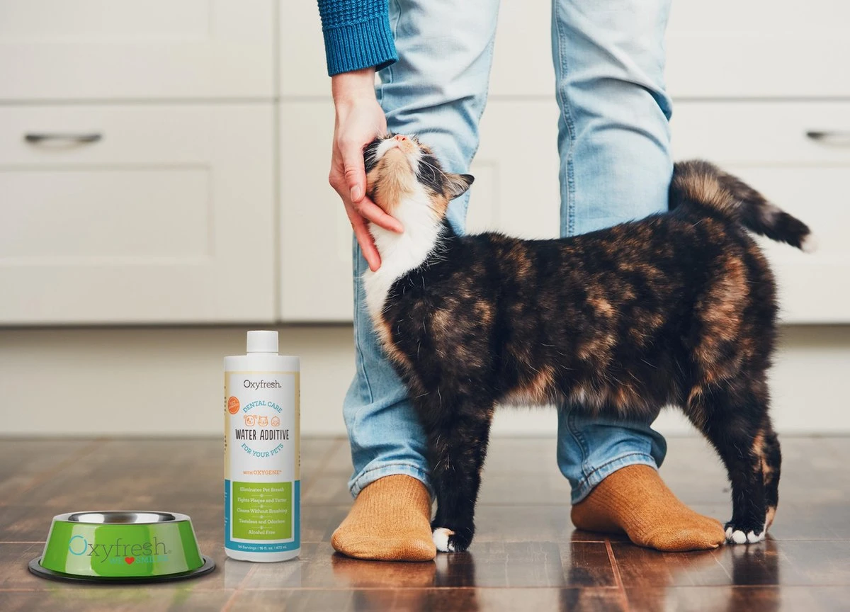 OxyFresh Pet Mondwater Hond En Kat. Helpt Tegen Tandsteen, Plak En Vieze Ademgeurtjes 5 OxyFresh Pet Mondwater Hond En Kat. Helpt Tegen Tandsteen, Plak En Vieze Ademgeurtjes - Afbeelding 3