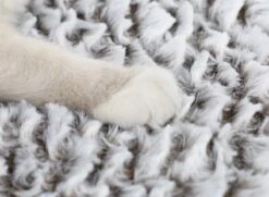 Merkloos Zelfverwarmende Dierendeken Zonder Stroom Thermo Deken Hond Kat Inclusief Adreslabel 70 X 47 Cm 16 Merkloos Zelfverwarmende Dierendeken Zonder Stroom Thermo Deken Hond Kat Inclusief Adreslabel 70 X 47 Cm -Dieren Benodigdheden Winkel 1200x878