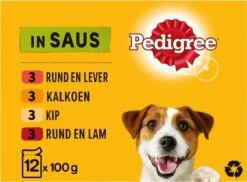 Pedigree Adult Honden Natvoer - Vlees & Gevogelte In Saus - 48 X 100g -Dieren Benodigdheden Winkel 1200x884