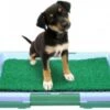 Hondentoilet Kunstgras - 3 Laags - 46 X 33 X 6cm - Puppy Pads - Zindelijkheidstraining Hond - Training Pads Puppy - Hondenmat -Dieren Benodigdheden Winkel 1200x886 1