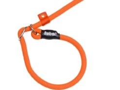 Rebel Petz - Honden Trainingslijn Met Halsband - Taupe, Zwart, Groen & Oranje - Maat Small Of Large - Kleur: Oranje, Maat: Large -Dieren Benodigdheden Winkel 1200x893 2