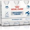 Royal Canin Recovery Liquid Hond Kat 3 X 200 Ml 1 Royal Canin Recovery Liquid Hond Kat 3 X 200 Ml -Dieren Benodigdheden Winkel 1200x896 1