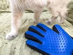 Vacht Verzorgingsborstel Voor Huisdieren - Blauw - LimitedDeals - Voor Honden Katten Konijnen Paarden - Tevens Massage Handschoen Voor Dieren! - Goed Voor De Verzorging Van De Vacht 19 Vacht Verzorgingsborstel Voor Huisdieren - Blauw - LimitedDeals - Voor Honden Katten Konijnen Paarden - Tevens Massage Handschoen Voor Dieren! - Goed Voor De Verzorging Van De Vacht -Dieren Benodigdheden Winkel 1200x897