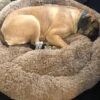 HONDEN RELAX Kussen - Superzacht Fluffy Ronde Mand 100 Cm - Taupe/Zandkleur 2 HONDEN RELAX Kussen - Superzacht Fluffy Ronde Mand 100 Cm - Taupe/Zandkleur -Dieren Benodigdheden Winkel 1200x899 1
