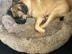 HONDEN RELAX Kussen - Superzacht Fluffy Ronde Mand 100 Cm - Taupe/Zandkleur -Dieren Benodigdheden Winkel 1200x899 2