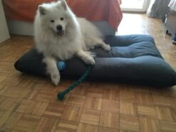 Hondenkussen XXXL -Donkergrijs - 85 X 120 X 14 -Dieren Benodigdheden Winkel 1200x900 3