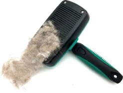 ElegaPet Hondenborstel Groen - Hondenhaar Verwijderen - Kat En Hondenkam - Slickerborstel Hond En Kat - Groomer - Ondervacht Kam Hond - Borstel Hond - Hondenborstel Langharig En Kortharig - Slickerborstel - Anti Klit/Knopen/Huidschilfers -Dieren Benodigdheden Winkel 1200x902