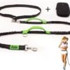 Filo Elastische Hondenriem Groot - Hardlopen En Wandelen - Hardloopriem Hond Handsfree Met Heuptasje - Looplijn Met Heupriem - Canicross Gordel Honden - Riemen - Heupgordel - Leiband -Dieren Benodigdheden Winkel 1200x908 2