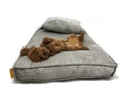 Orthopedisch Hondenkussen Grijs - Hondenmand Ribstof Premium L - Luxe Hondenbed 100x70cm - Grijs Tot 40 KG 18 Orthopedisch Hondenkussen Grijs - Hondenmand Ribstof Premium L - Luxe Hondenbed 100x70cm - Grijs Tot 40 KG -Dieren Benodigdheden Winkel 1200x910