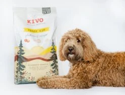 Kivo Petfood Hondenbrokken Verse Kip - 14 Kg - Koudgeperst - Glutenvrij -Dieren Benodigdheden Winkel 1200x911 1