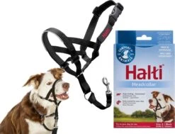 Halti Headcollar - Maat 2 -Dieren Benodigdheden Winkel 1200x916 1