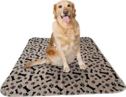 Sharon B - Puppy Training Pad - Plasmat - Beige Met Botjesprint - 80x90 Cm - Hondentoilet - Herbruikbaar - Wasbaar