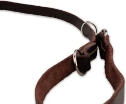 Multifunctionele Hondenriem - 220cm - Bruin - Leren Hondenriem - 100% Volnerfleer - Hondenriem Leer - Leiband Hond 17 Multifunctionele Hondenriem - 220cm - Bruin - Leren Hondenriem - 100% Volnerfleer - Hondenriem Leer - Leiband Hond -Dieren Benodigdheden Winkel 1200x993 2