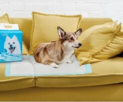 Nobleza 48LXB - Puppy Training Pads - 60 X 90 Cm - Zindelijkheidstraining - 100 Stuks -Dieren Benodigdheden Winkel 1200x997 2