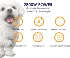 Forgoods Professionele Hondenfohn - Waterblazer Voor Honden - Hondenfohn Met 4 Opzetstukken - 2800W Verstelbaar Vermogen - Roze -Dieren Benodigdheden Winkel 1200x997