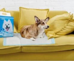 Nobleza 48LXE - Puppy Training Pads - 60 X 90 Cm - Zindelijkheidstraining - 120 Stuks -Dieren Benodigdheden Winkel 1200x997 3